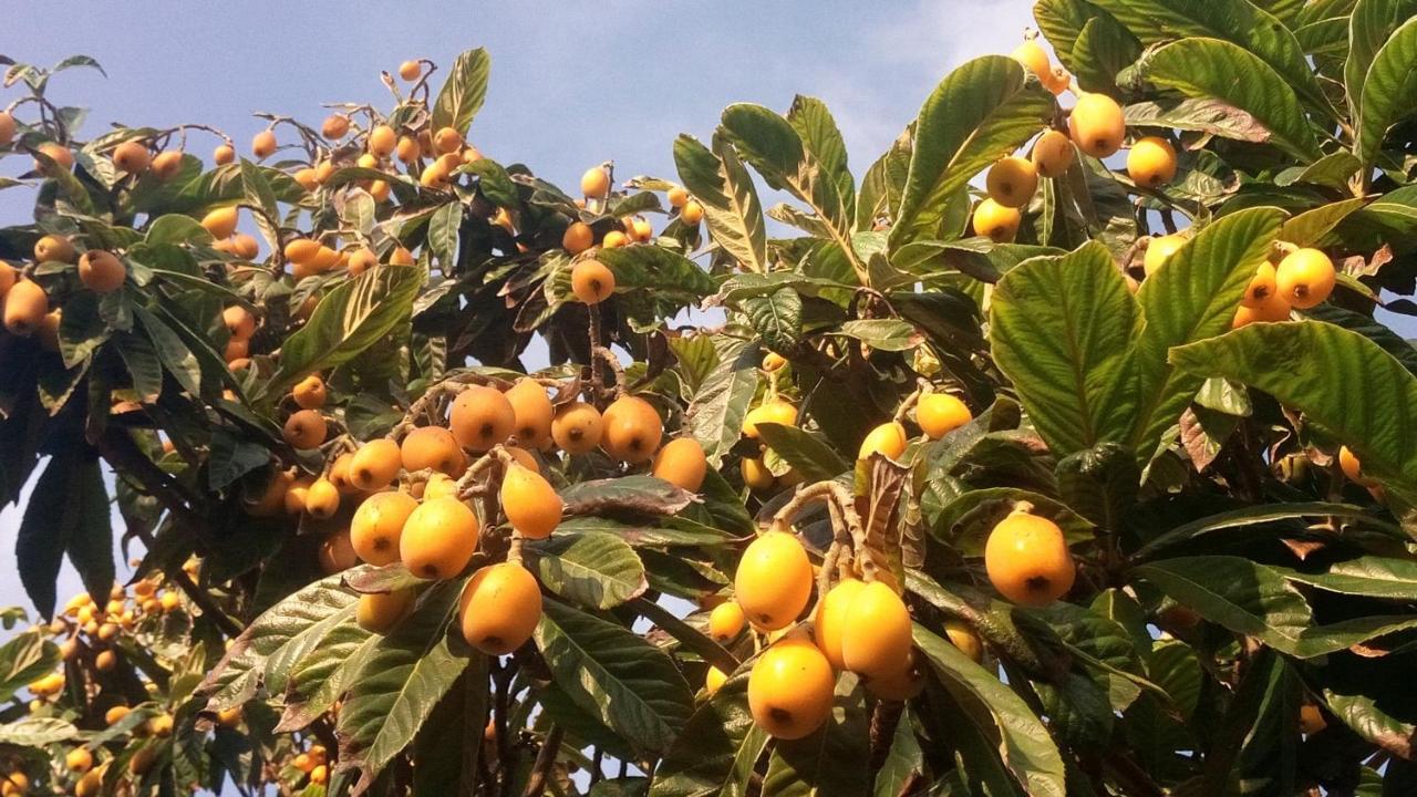 Zagara Di Sicilia Vila Marsala Exterior foto